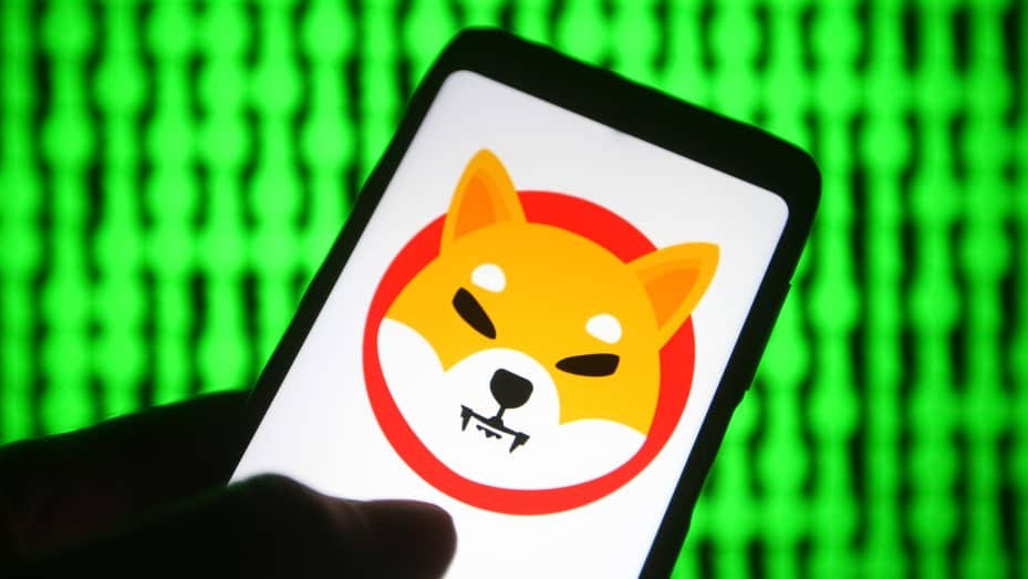 ماهي العمله الرقميه SHIBA INU / SHIB وماهو مشروعها ومعلومات عنها