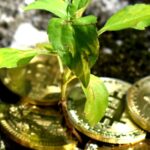 crypto and climate