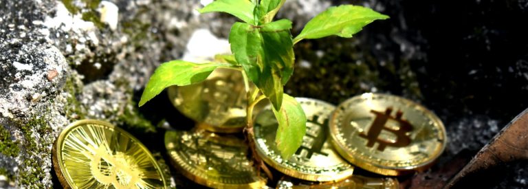 انضمام كل من DMG وArgo لمجموعة خاصة بحماية البيئة من انبعاثات التعدين