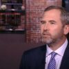 الرئيس التنفيذي ل Ripple  ينتقد اجراءات لجنة الأوراق المالية الأميريكة