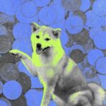 لماذا شهدت عملة Shiba Inu ارتفاعًا كبيرًا في قيمتها هذا الأسبوع