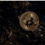 يقول كبير المستشارين الاقتصاديين في أليانز إن إيلون ماسك له تأثير كبير على اعتماد البيتكوين