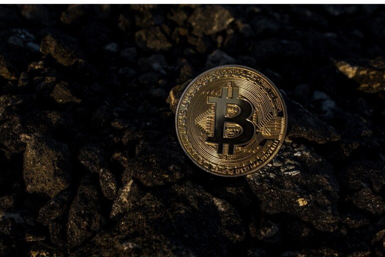 يقول كبير المستشارين الاقتصاديين في أليانز إن إيلون ماسك له تأثير كبير على اعتماد البيتكوين