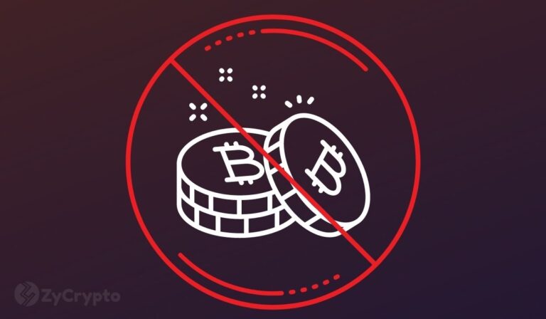 يوضح المسؤول الهولندي الأسباب التي تجعل هولندا تحظر البيتكوين بالكامل على الفور
