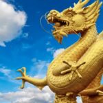 من أين تشتري تشفير DragonVein