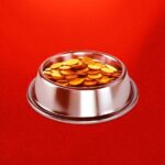 تقول إليزابيث وارن إن Dogecoin لديها “مشاكل كبيرة” تحتاج إلى الإصلاح