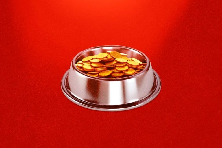تقول إليزابيث وارن إن Dogecoin لديها “مشاكل كبيرة” تحتاج إلى الإصلاح