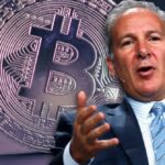 بيتر شيف سايلور من MicroStrategy "مجنون" لمحاولته ضخ البيتكوين