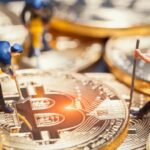 شبكة البيتكوين العالمية