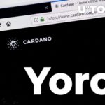 محفظة Yoroi الخاصة بـ Cardano (ADA)