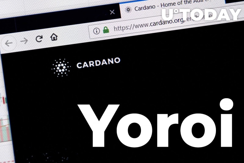 محفظة Yoroi الخاصة بـ Cardano (ADA)