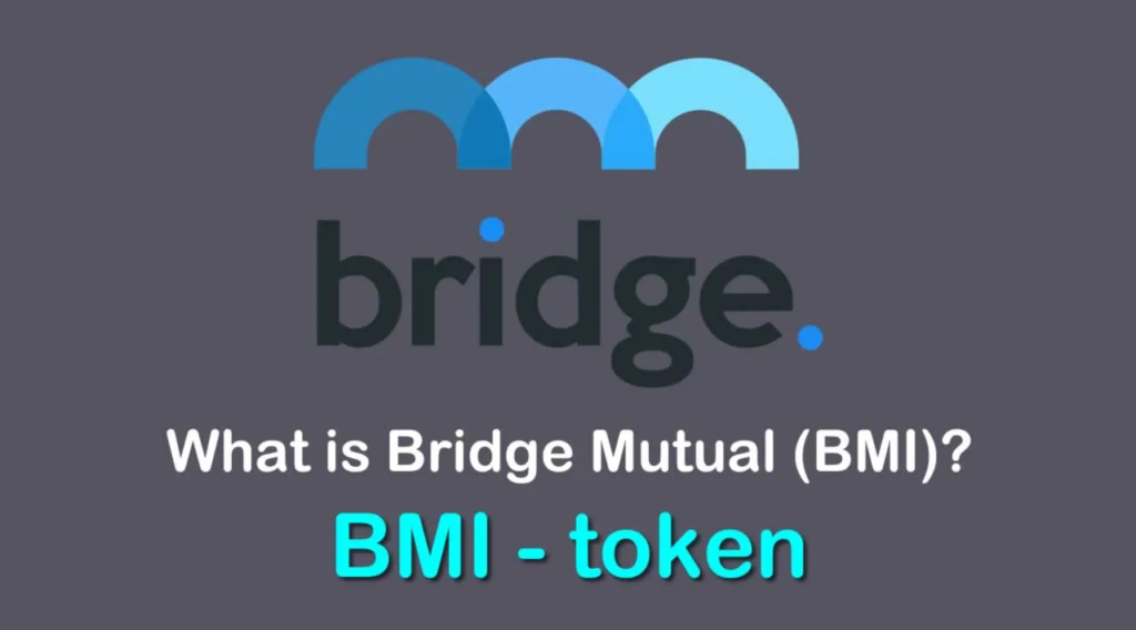 BMI/Bridge Mutual