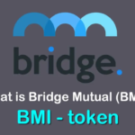 BMI/Bridge Mutual