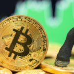 يتوقع المحلل "السوق الصاعد المحدث" للبيتكوين ، السعر يتجه نحو 100 ألف دولار