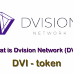 DVI/ Dvision Network
