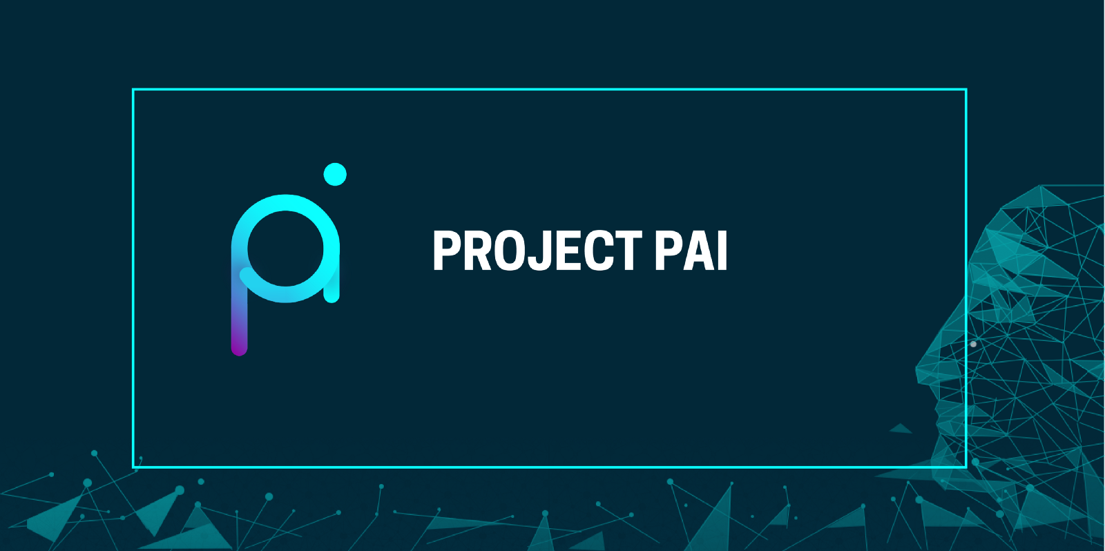 PAI/ Project Pai