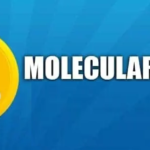 MOF/ Molecular Future