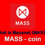 MASS/ Massnet