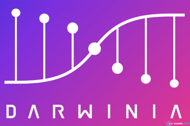 RING/Darwinia Network