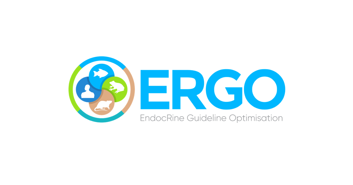 ما هي العملة الرقمية Ergo(ERG) مشروعها و معلومات عنها