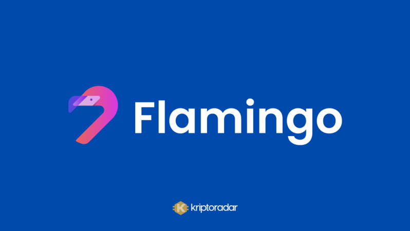 FLM/Flamingo