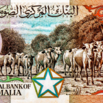 البنك المركزي الصومالي يطلق نظام دفع جديد ويكشف عن خطط لطباعة عملات ورقية جديدة من الشلن
