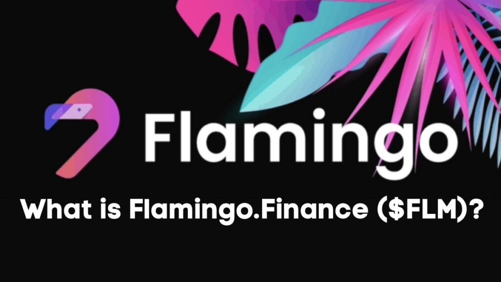 FLM/Flamingo