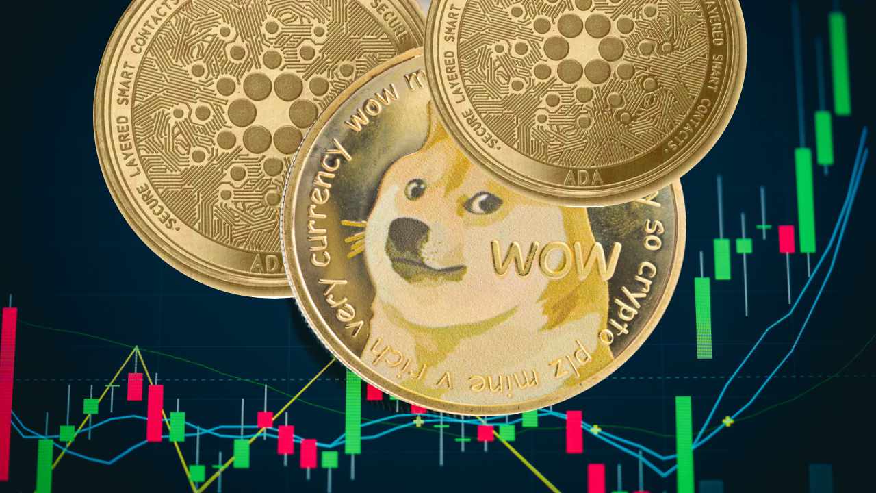 يقول Dogecoin Millionaire يرتفع سعر كاردانو