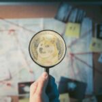 التحقيق في احتيال Dogecoin في تركيا