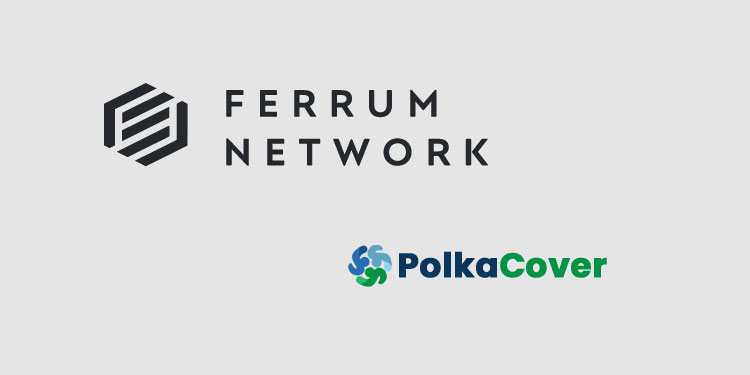 FRM/Ferrum Network