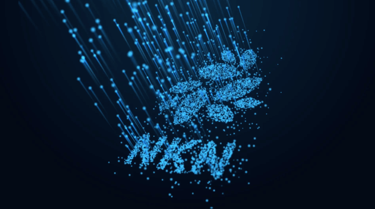 ما هي العملة الرقمية NKN/ NKN مشروعها و معلومات عنها