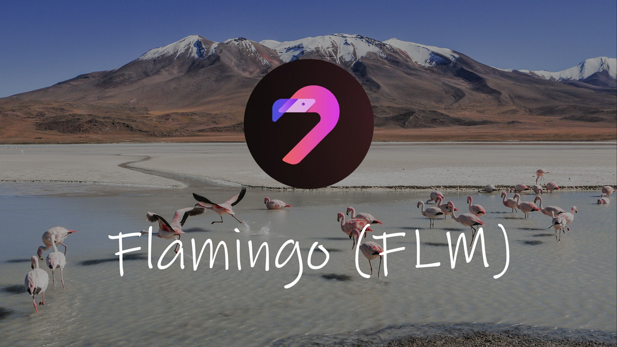 flamingo flm