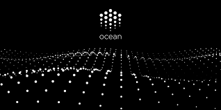 ما هي العملة الرقمية Ocean Protocol (OCEAN)مشروعها و معلومات عنها