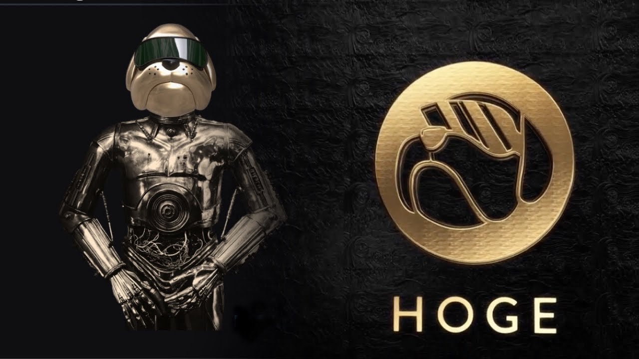 Hoge /Hoge Finance