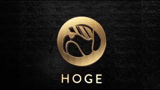 Hoge /Hoge Finance