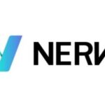 NVT/ NerveNetwork