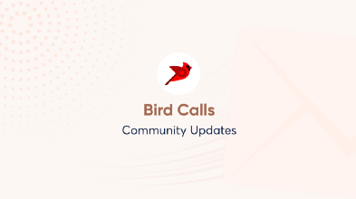 Bird/Bird.Money