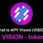 VISION / APY Vision