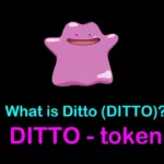 DITTO / Ditto