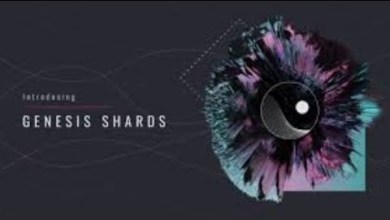 GS / Genesis Shards