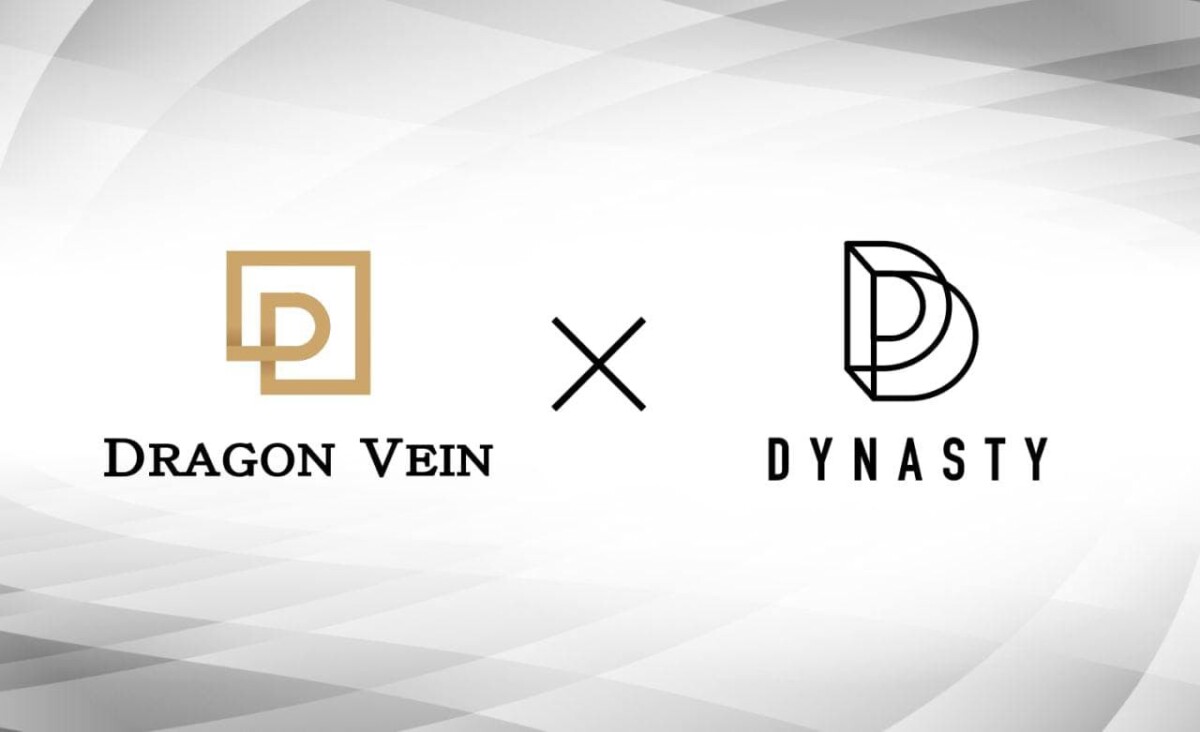 DVC/DragonVein 