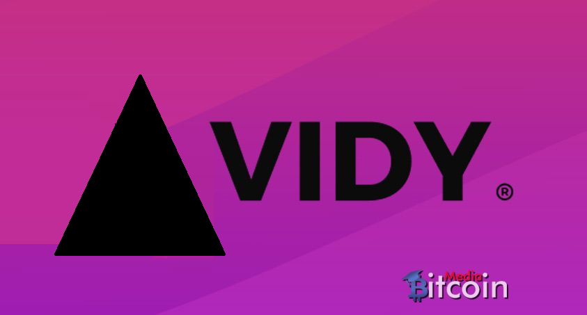 VIDY/ VIDY