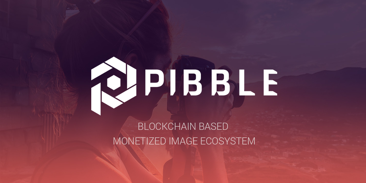 PIB/ PIBBLE