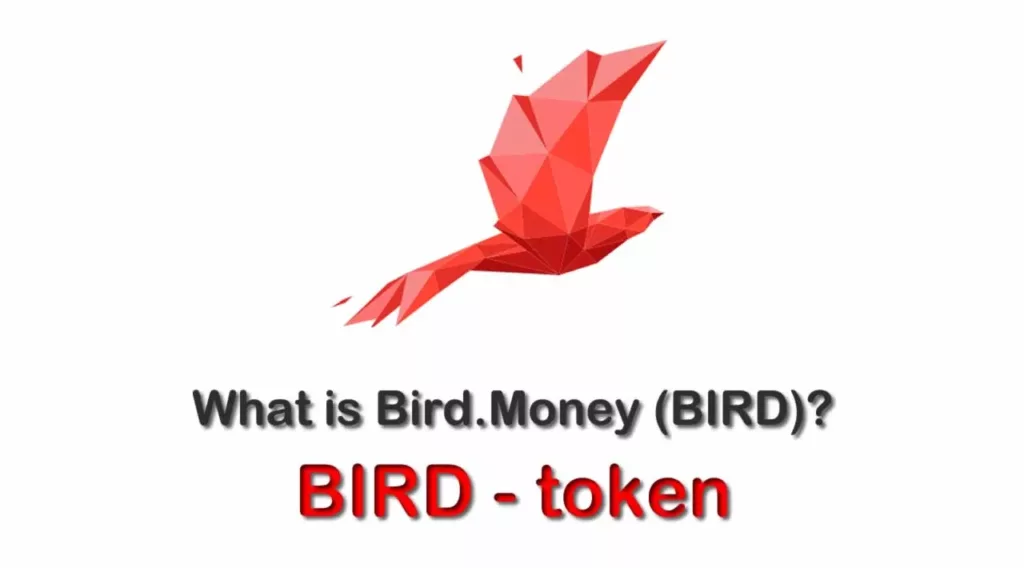 Bird/Bird.Money