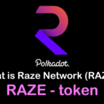 Raze/ Raze Network