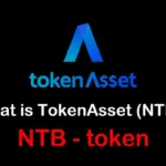 NTB / TokenAsset