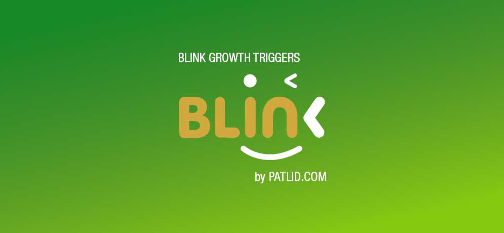BLINK/ blink 