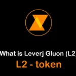 l2/Leverj Gluon