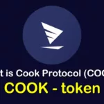 Cook / Cook Protocol
