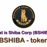 BSHIBA / Shiba Corp